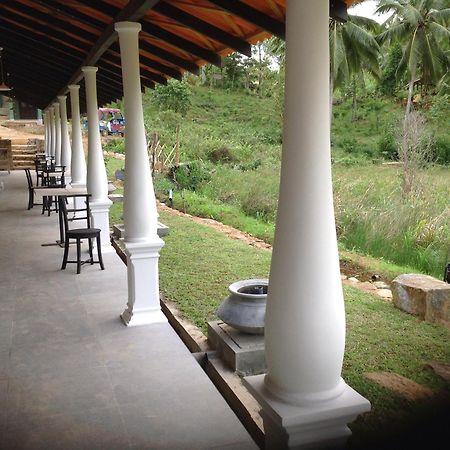 Explore Sinharaja Rain Forest Tour Camp Dombagoda Luaran gambar
