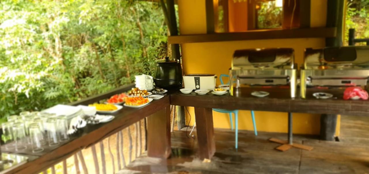 Explore Sinharaja Rain Forest Tour Camp Dombagoda Luaran gambar