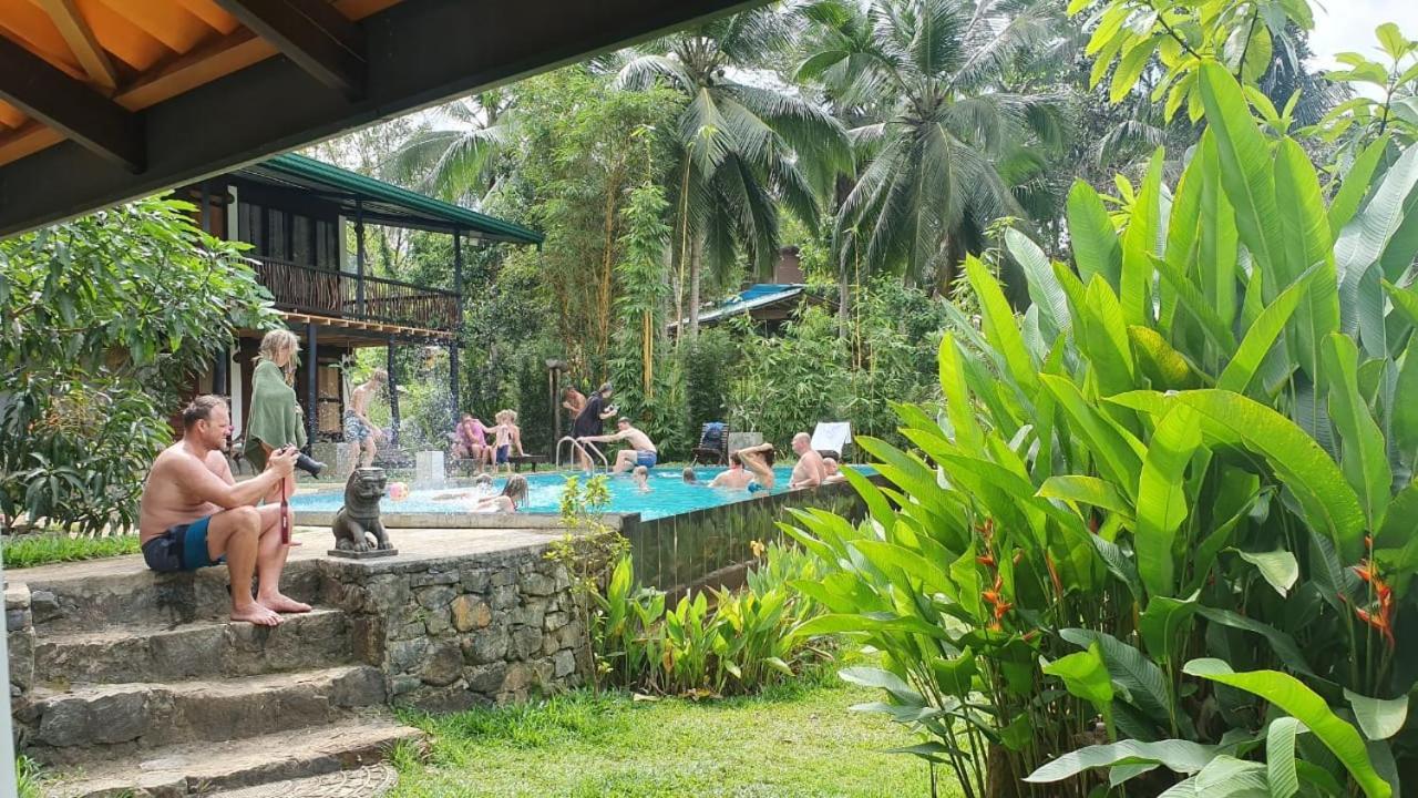 Explore Sinharaja Rain Forest Tour Camp Dombagoda Luaran gambar