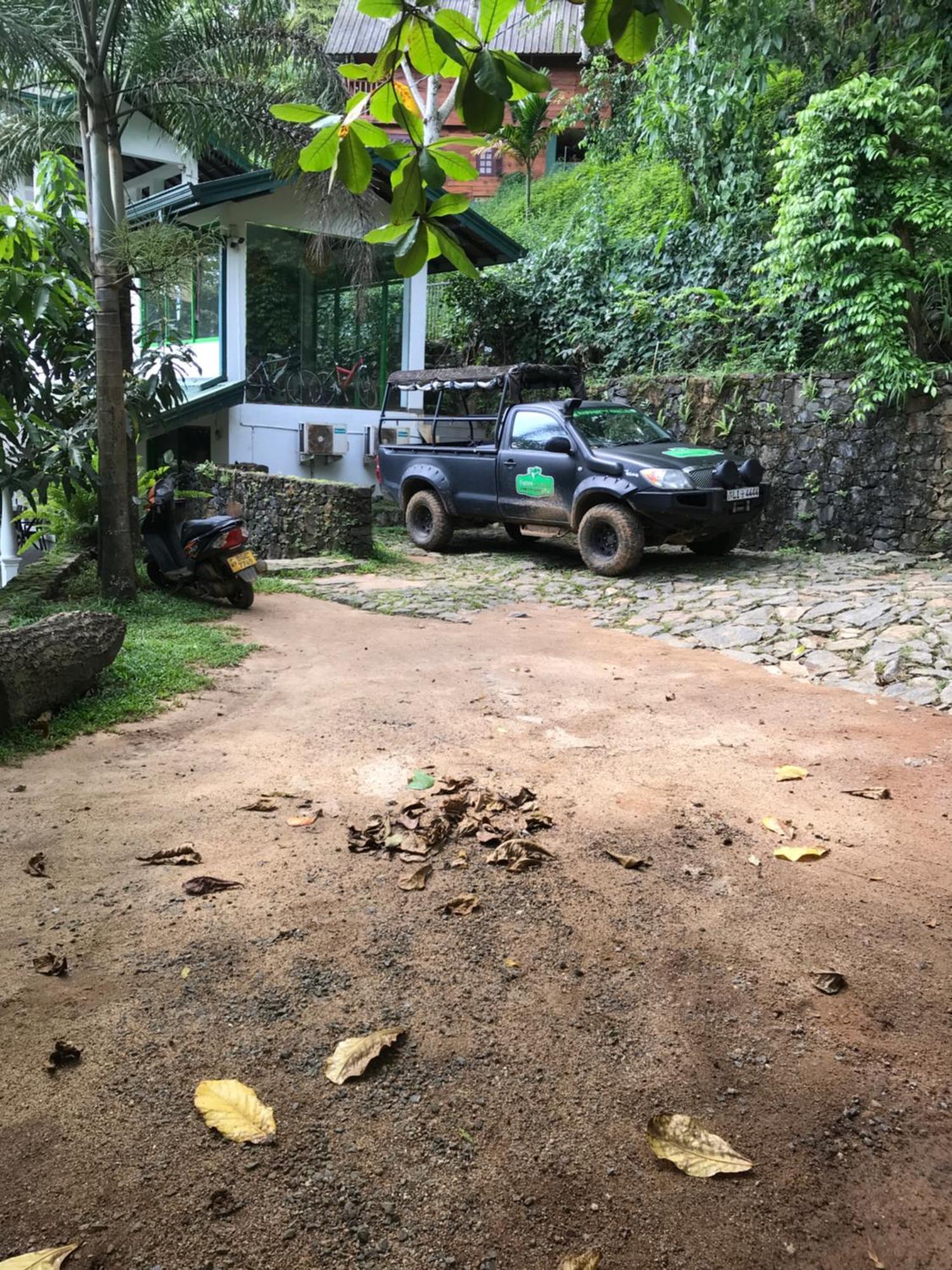 Explore Sinharaja Rain Forest Tour Camp Dombagoda Luaran gambar