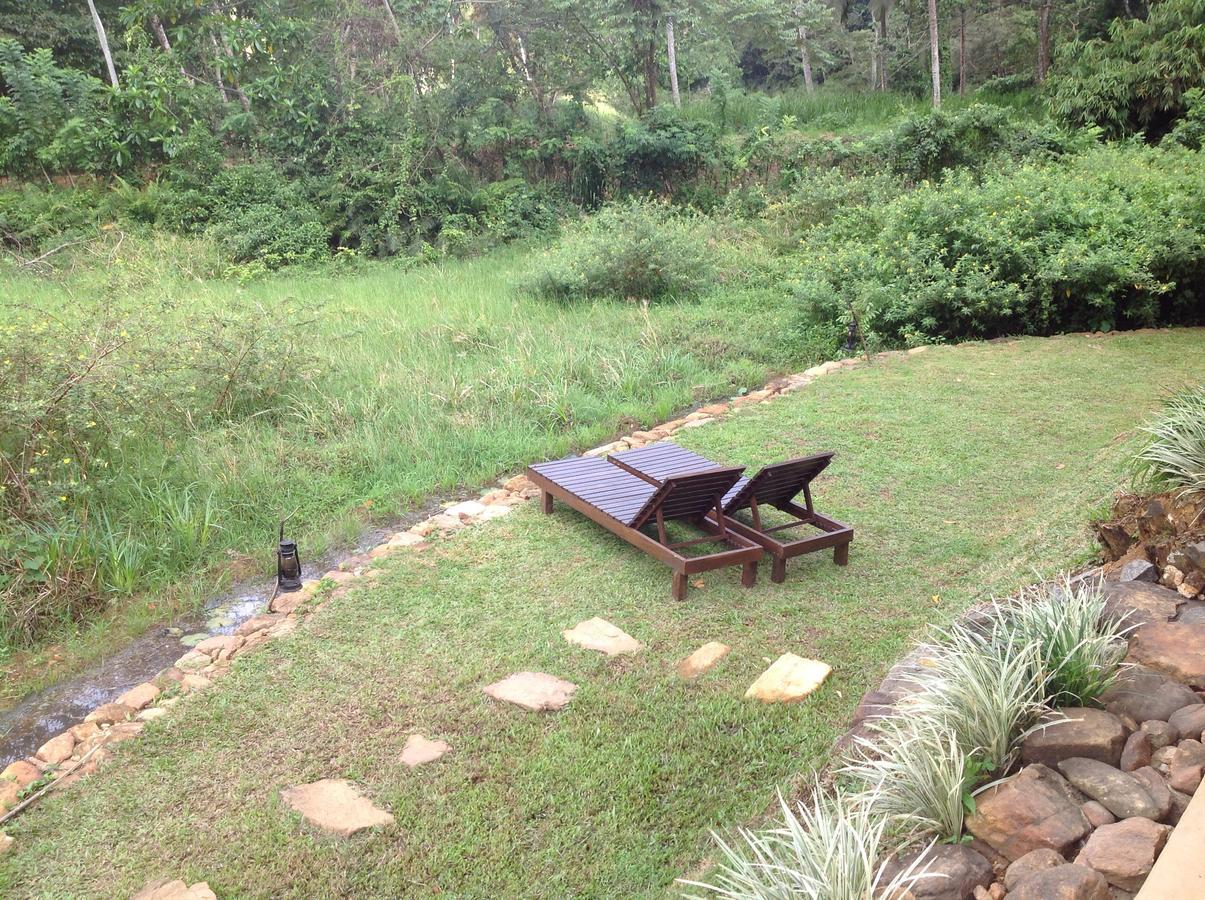 Explore Sinharaja Rain Forest Tour Camp Dombagoda Luaran gambar