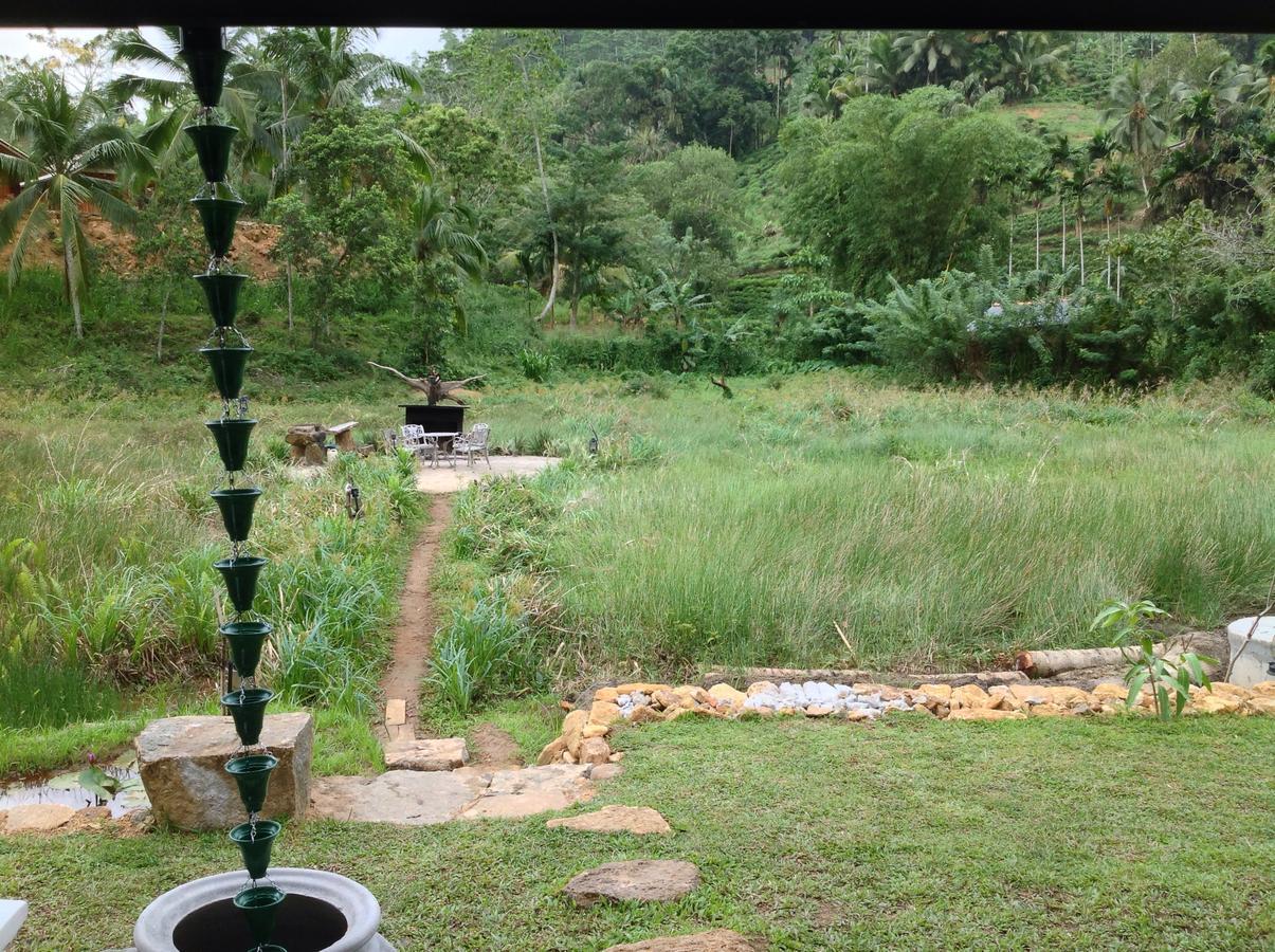 Explore Sinharaja Rain Forest Tour Camp Dombagoda Luaran gambar