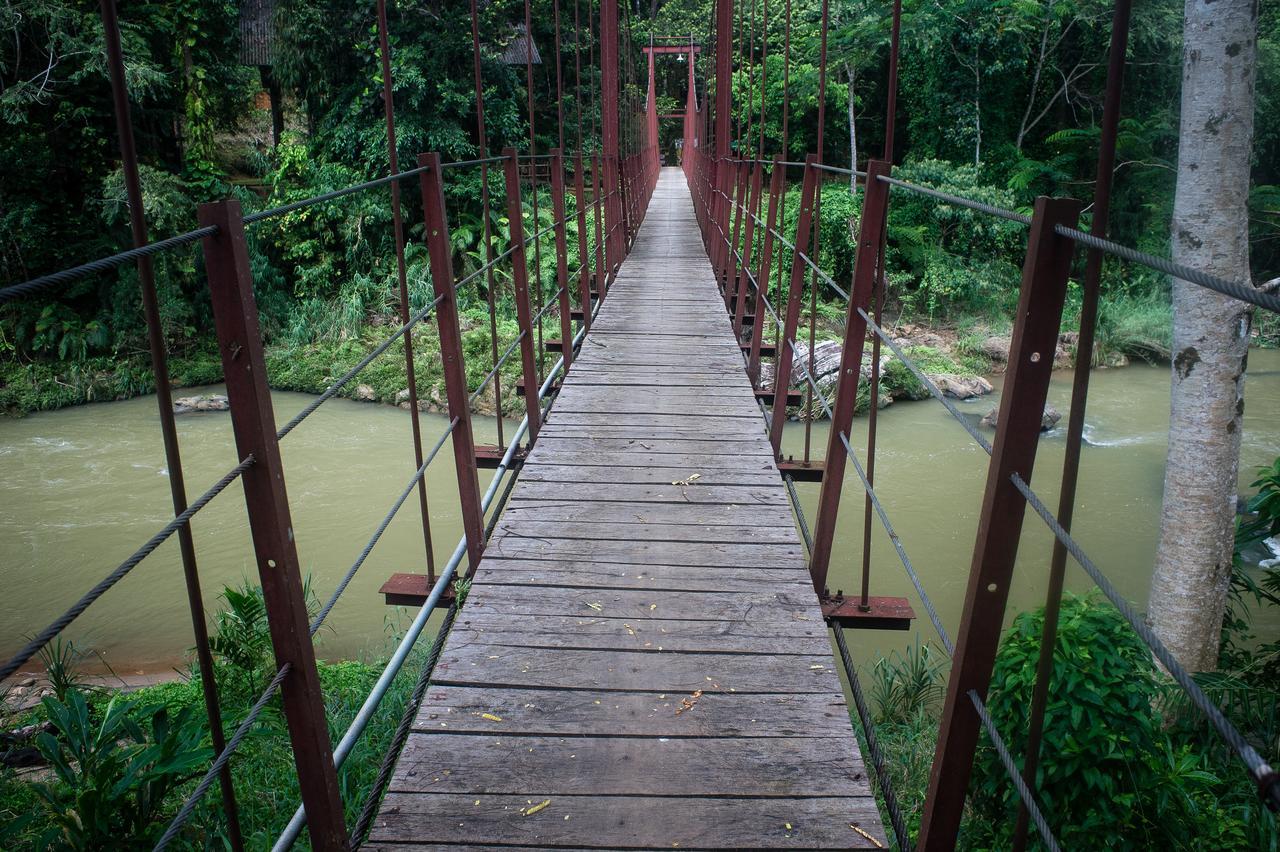 Explore Sinharaja Rain Forest Tour Camp Dombagoda Luaran gambar