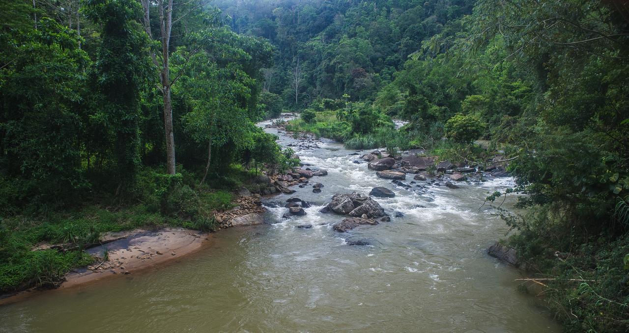 Explore Sinharaja Rain Forest Tour Camp Dombagoda Luaran gambar