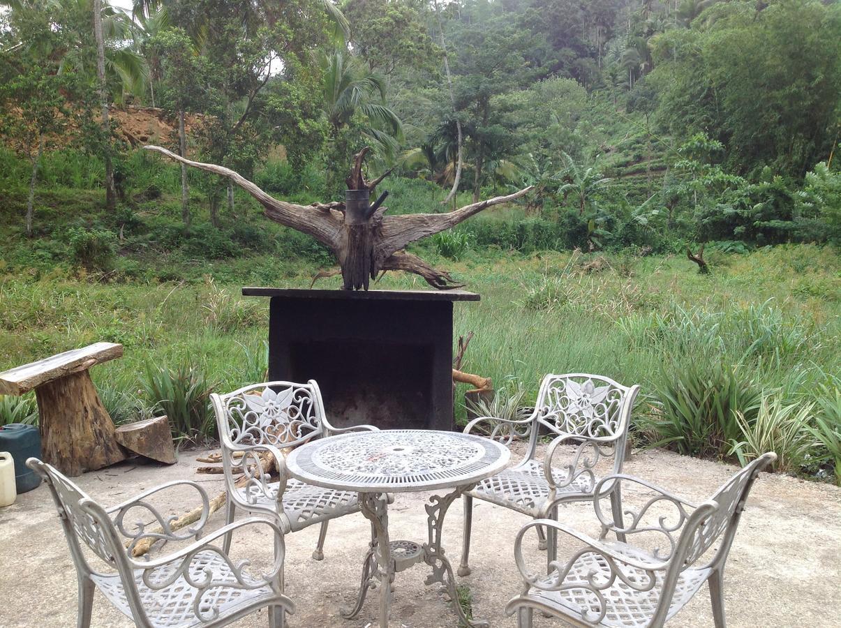 Explore Sinharaja Rain Forest Tour Camp Dombagoda Luaran gambar