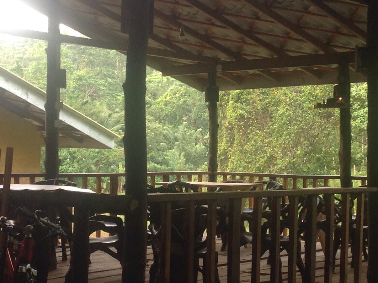 Explore Sinharaja Rain Forest Tour Camp Dombagoda Luaran gambar