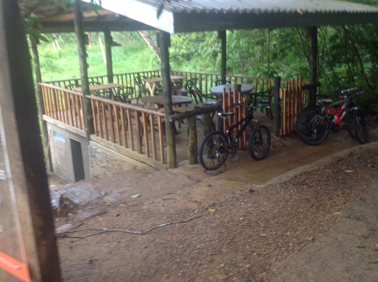 Explore Sinharaja Rain Forest Tour Camp Dombagoda Luaran gambar