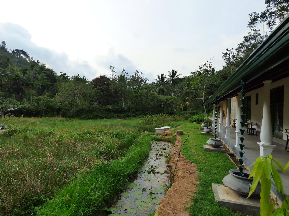 Explore Sinharaja Rain Forest Tour Camp Dombagoda Luaran gambar