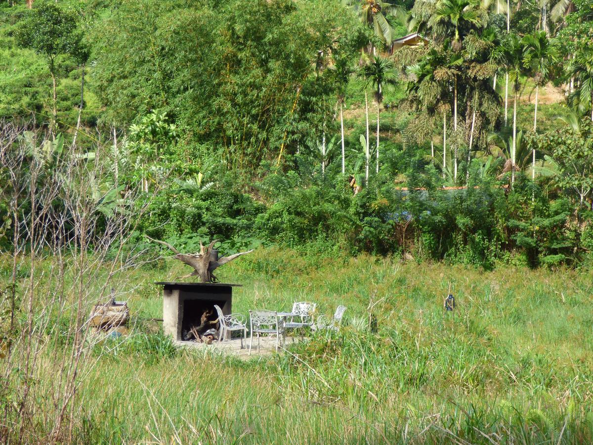Explore Sinharaja Rain Forest Tour Camp Dombagoda Luaran gambar