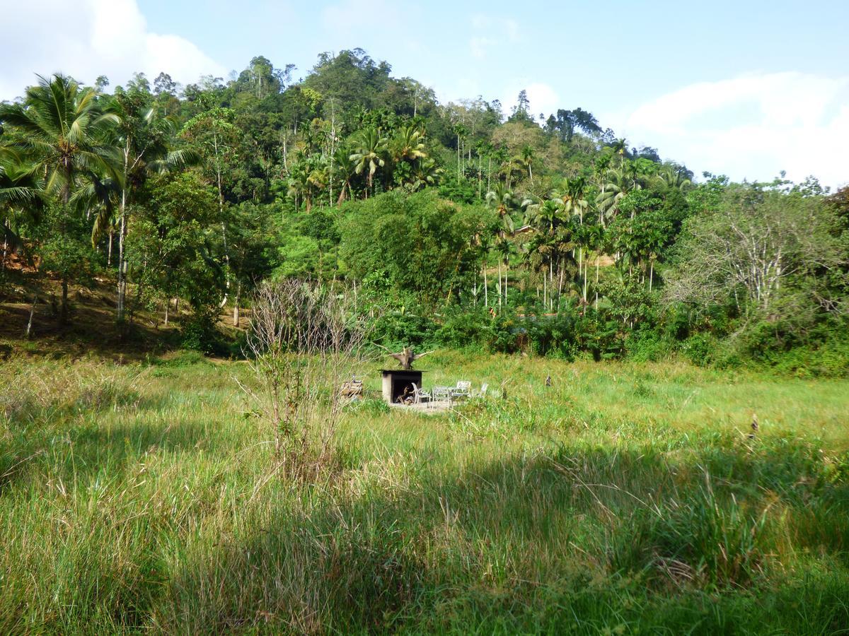 Explore Sinharaja Rain Forest Tour Camp Dombagoda Luaran gambar