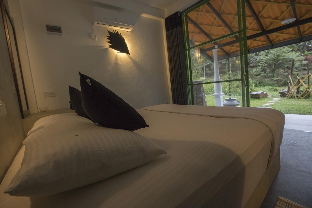 Explore Sinharaja Rain Forest Tour Camp Dombagoda Luaran gambar