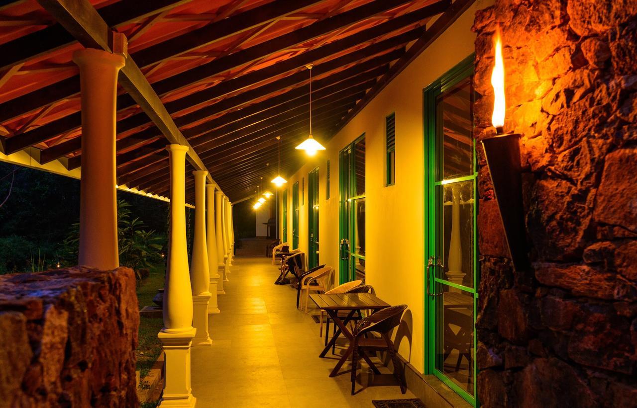 Explore Sinharaja Rain Forest Tour Camp Dombagoda Luaran gambar