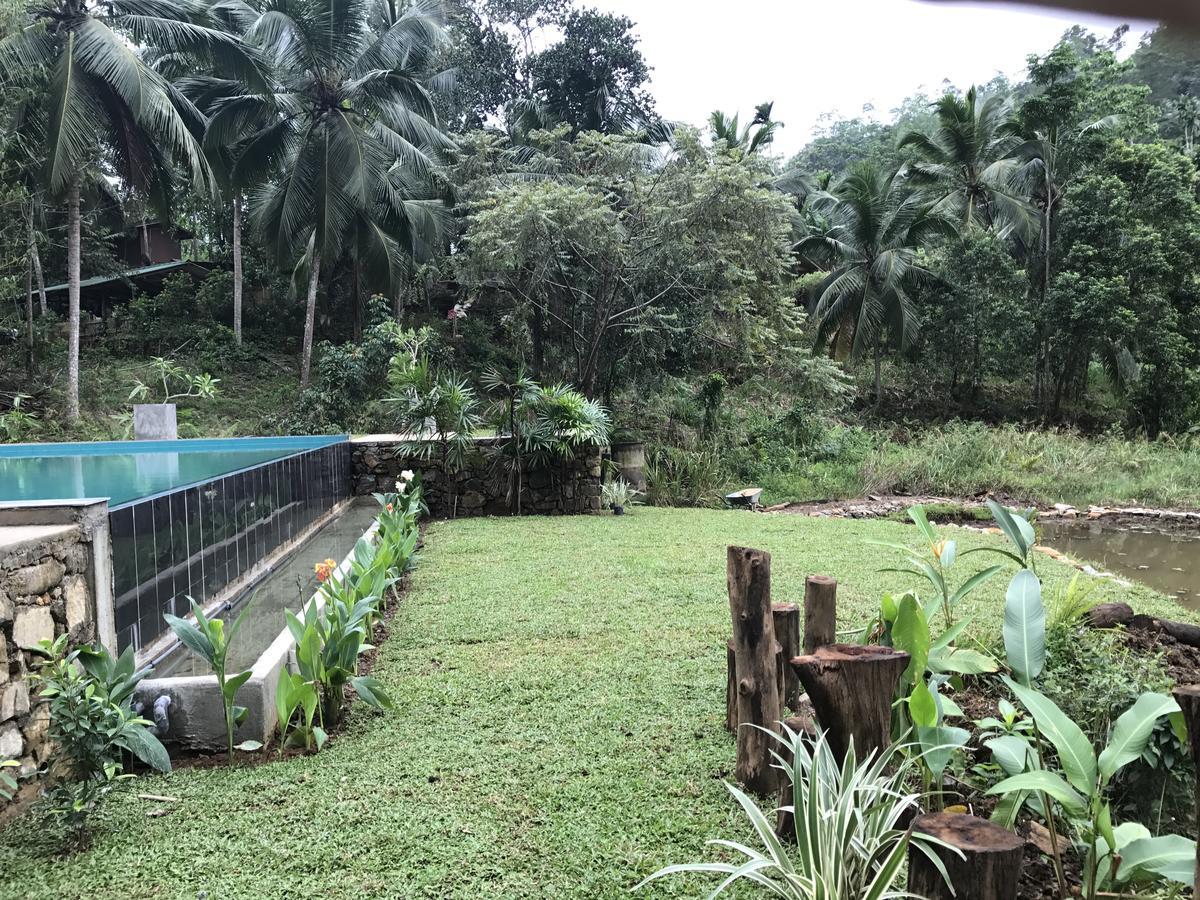 Explore Sinharaja Rain Forest Tour Camp Dombagoda Luaran gambar