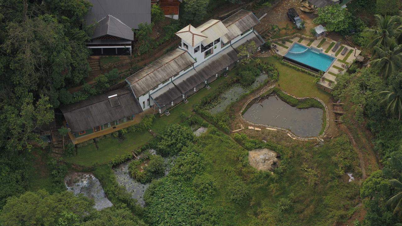 Explore Sinharaja Rain Forest Tour Camp Dombagoda Luaran gambar
