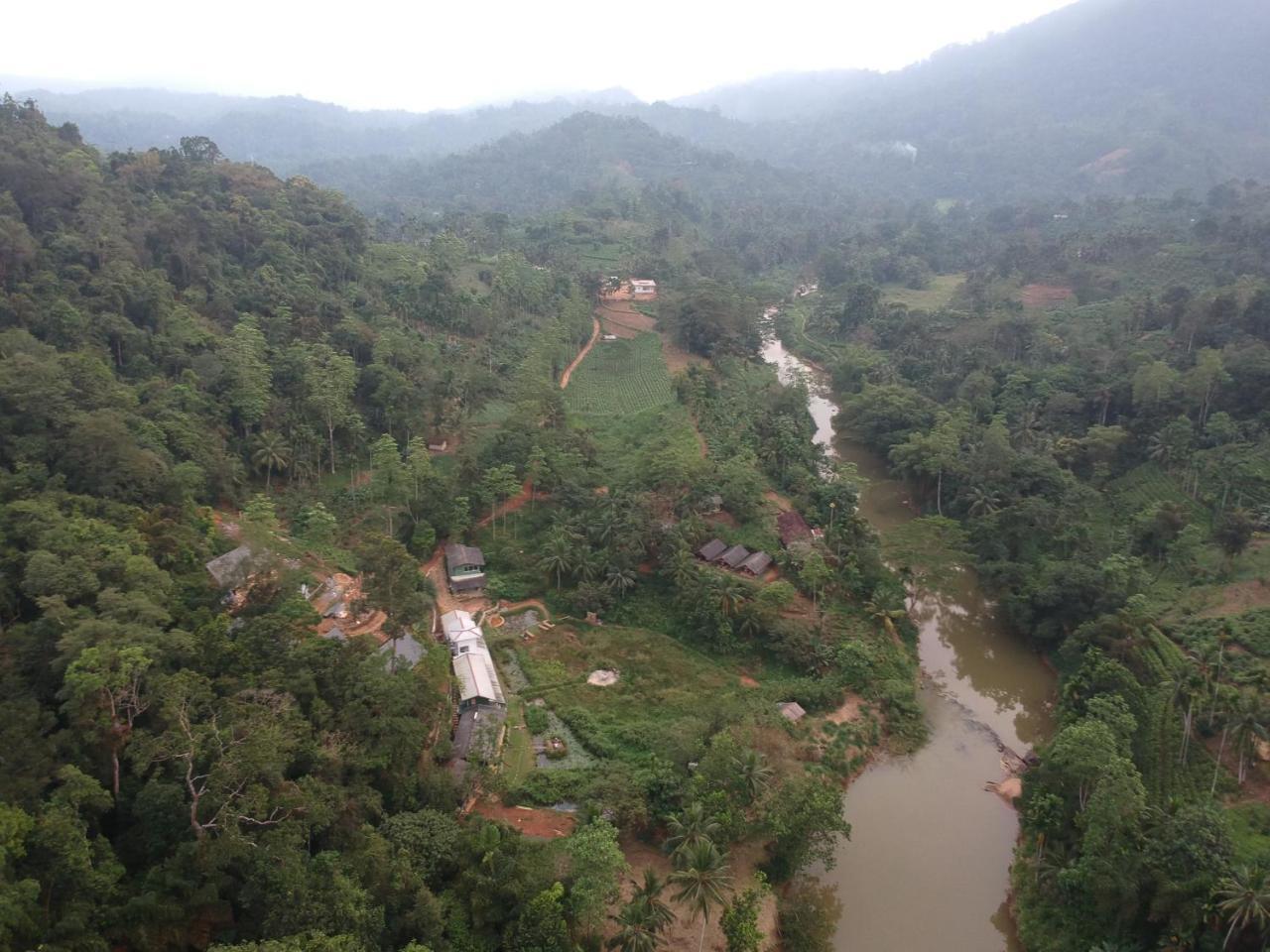 Explore Sinharaja Rain Forest Tour Camp Dombagoda Luaran gambar